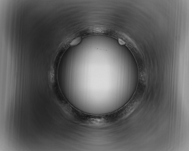 X0000100320552200806051519