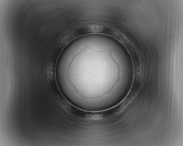 X0000100320553200806051519