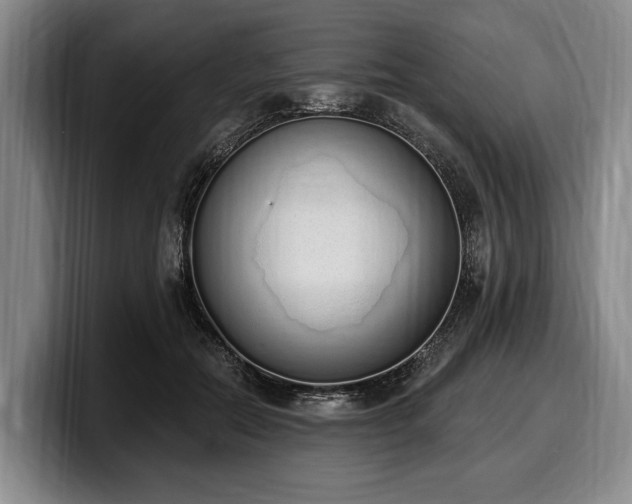 X0000100320554200806051519