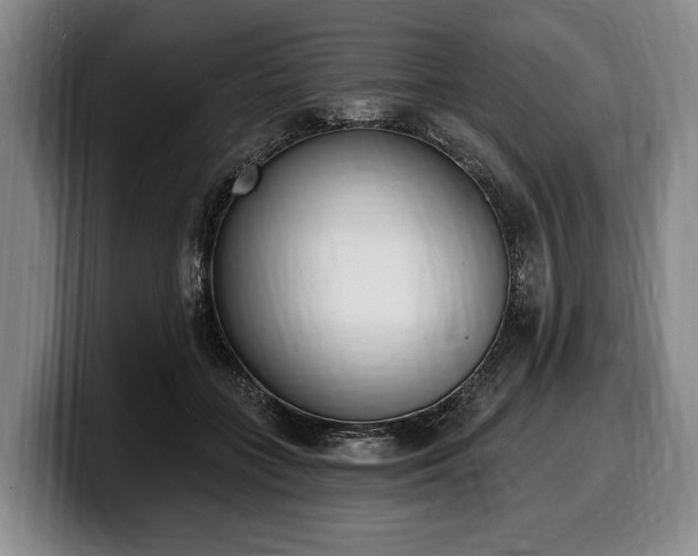 X0000100320555200806051519