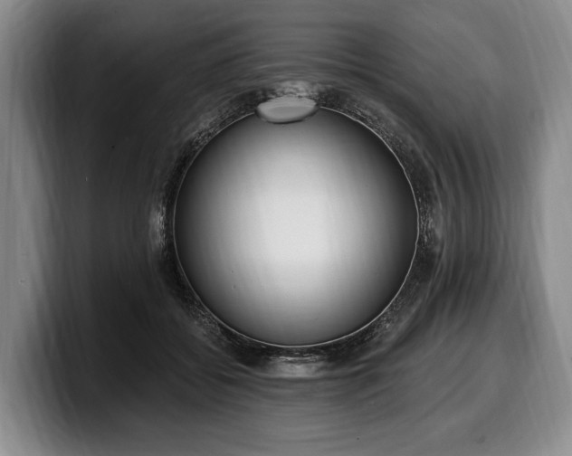 X0000100320556200806051519