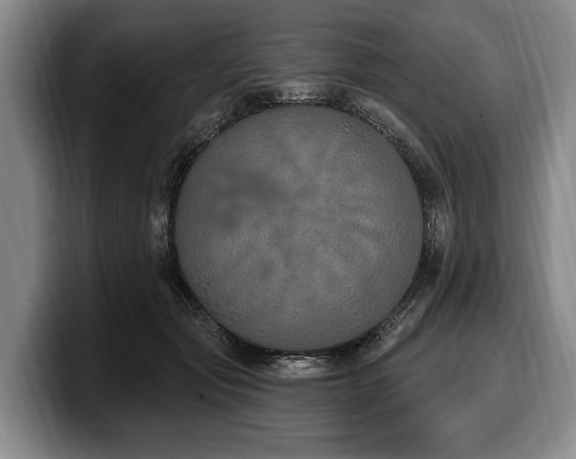 X0000100320557200806051519