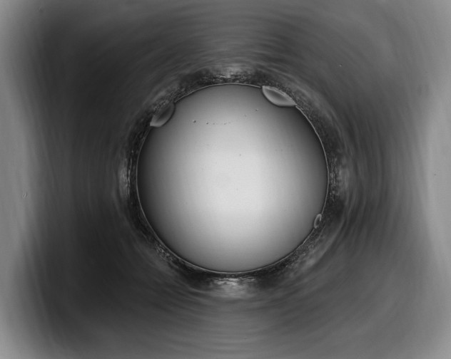 X0000100320558200806051519