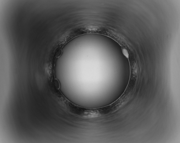 X0000100320559200806051519