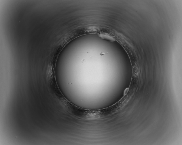 X0000100320560200806051519