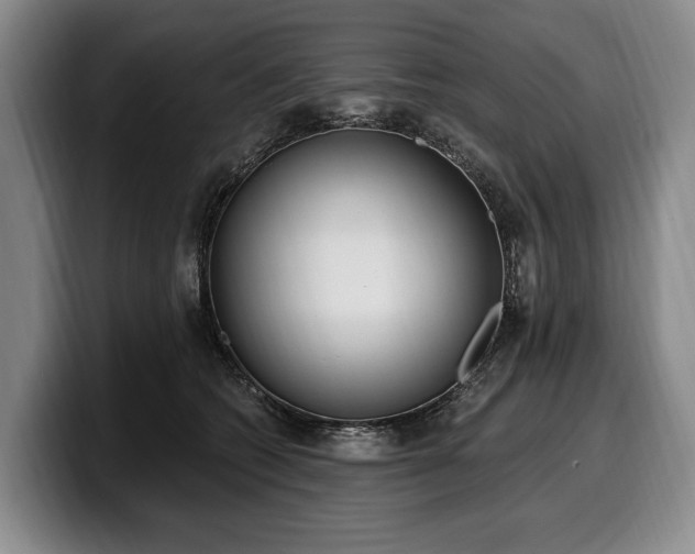 X0000100320562200806051519