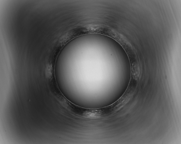 X0000100320563200806051519