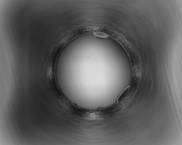 X0000100320564200806051519