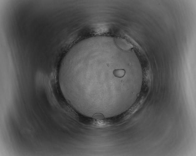 X0000100320565200806051519