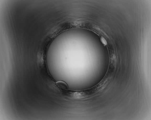 X0000100320566200806051519