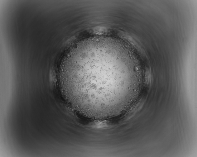 X0000100320569200806051519