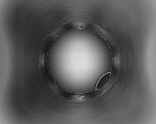 X0000100320570200806051519