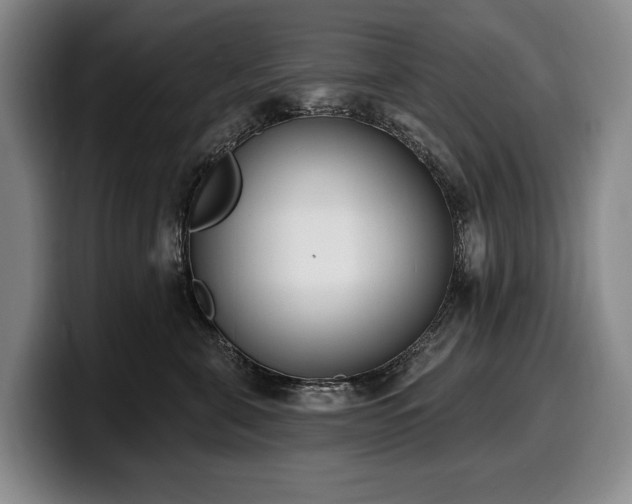 X0000100320571200806051519