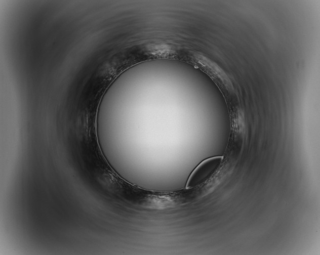 X0000100320572200806051519