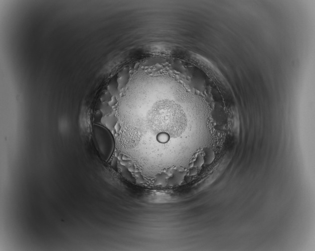 X0000100320573200806051519