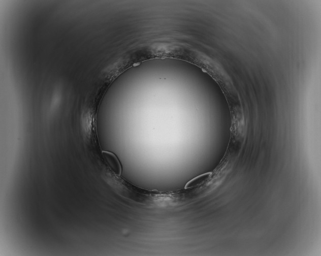 X0000100320574200806051519