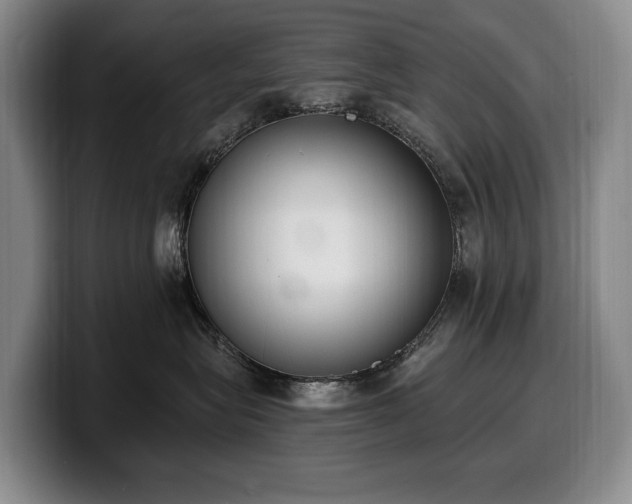 X0000100320575200806051519