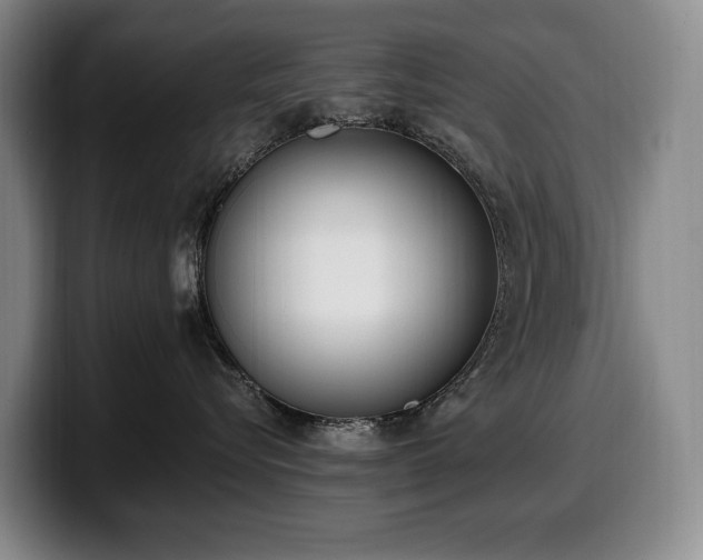 X0000100320576200806051519