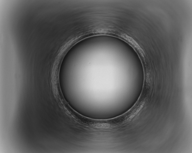 X0000100320577200806051519