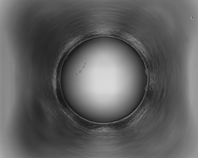 X0000100320578200806051519