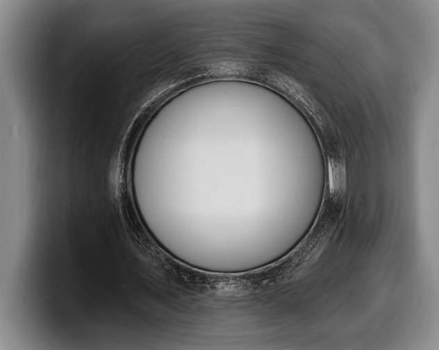 X0000100320579200806051519