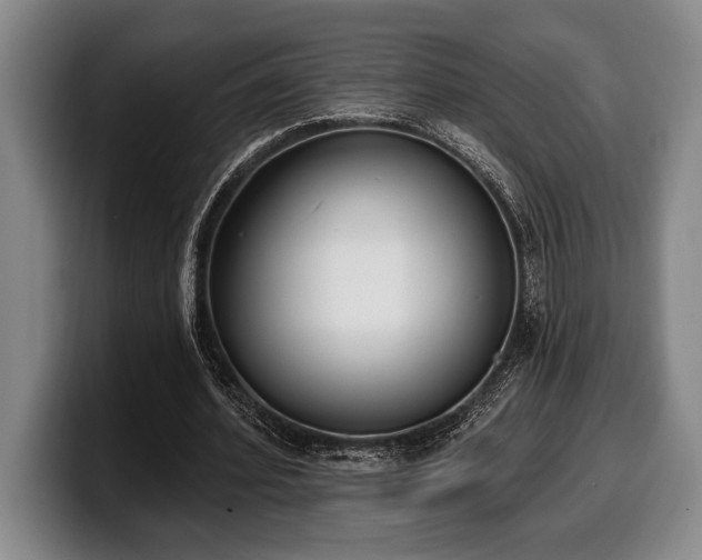 X0000100320580200806051519