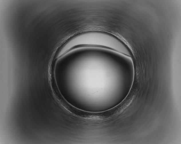 X0000100320581200806051519