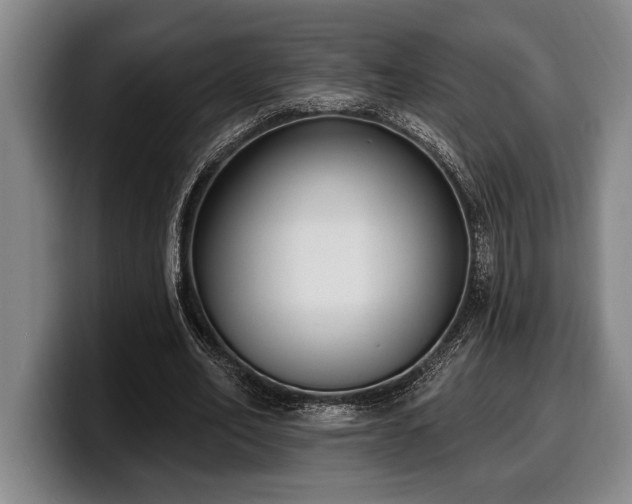 X0000100320582200806051519