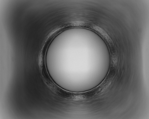 X0000100320583200806051519