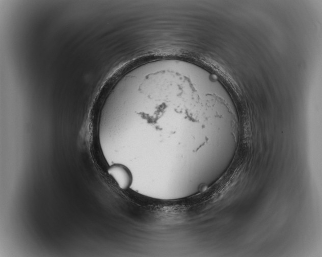 X0000100320584200806051519