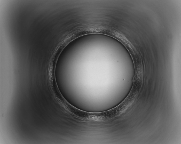 X0000100320585200806051519