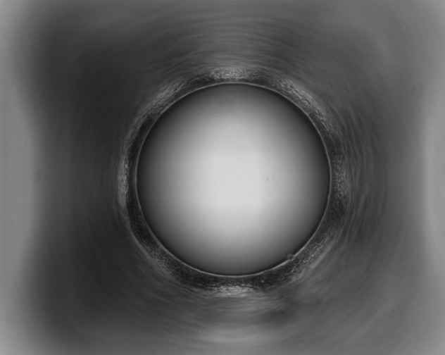 X0000100320586200806051519