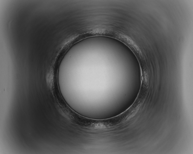 X0000100320588200806051519