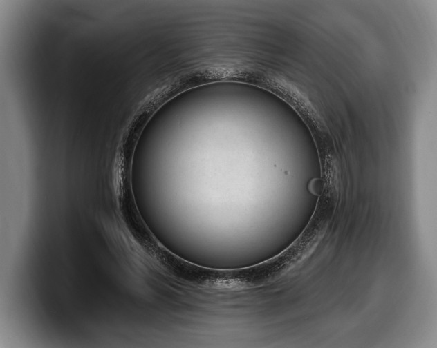 X0000100320590200806051519