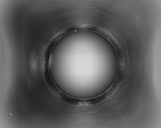 X0000100320591200806051519