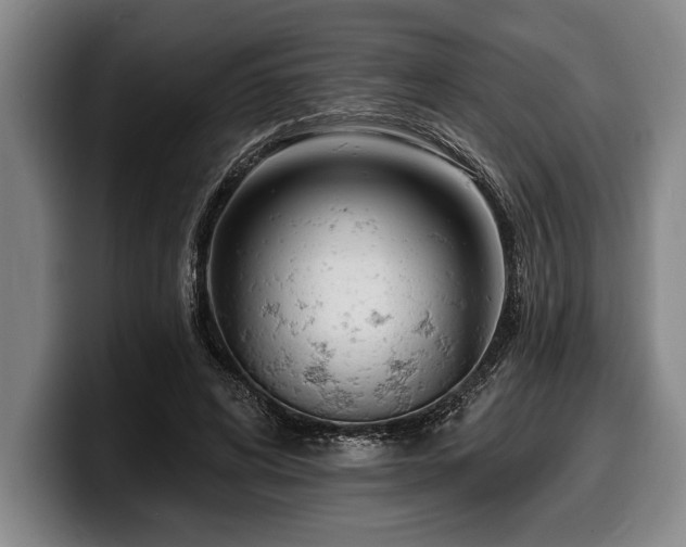 X0000100320592200806051519