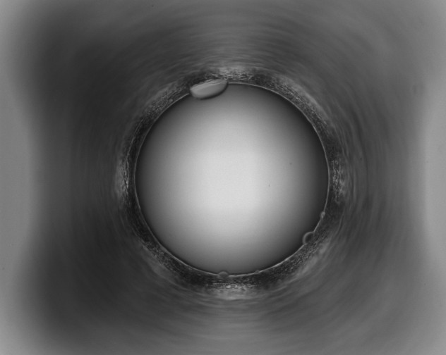 X0000100320593200806051519