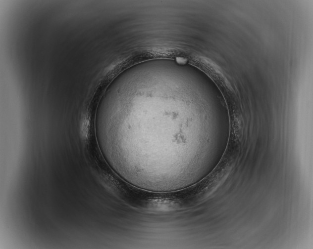 X0000100320596200806051519