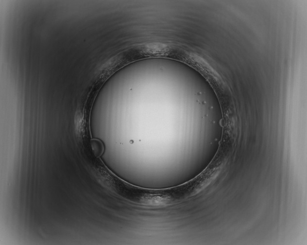 X0000100320597200806051519