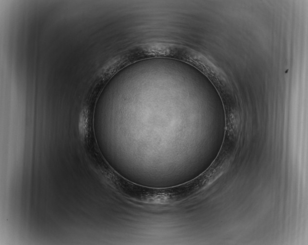 X0000100320600200806051518