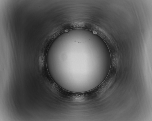 X0000100320604200806051518