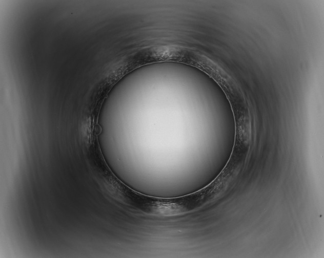 X0000100320605200806051518