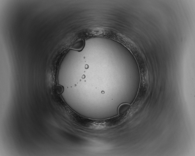 X0000100320606200806051518