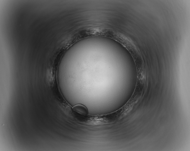 X0000100320607200806051518