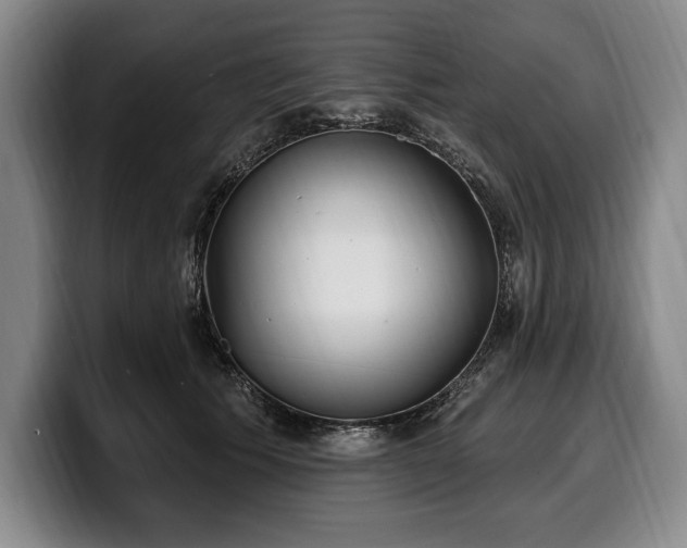 X0000100320609200806051518