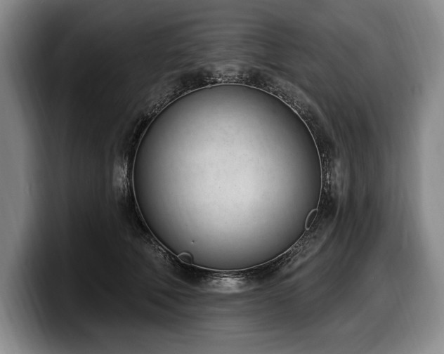 X0000100320610200806051518