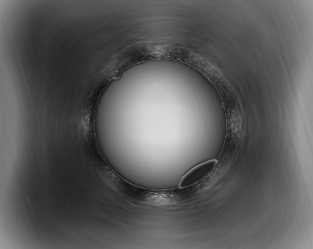 X0000100320611200806051518