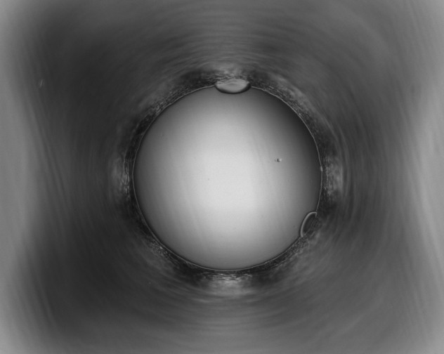 X0000100320613200806051518