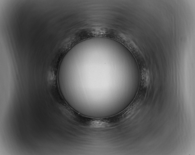 X0000100320614200806051518