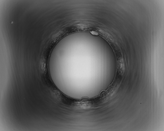 X0000100320615200806051518